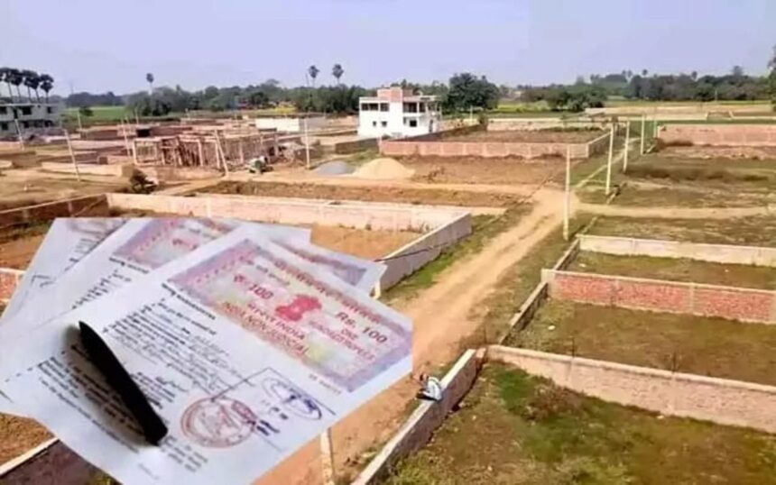 IMG-20260217-WA0375-1-860x538