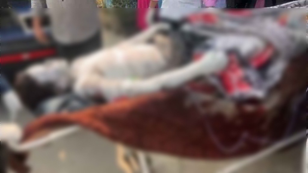 IMG_20260205_145502_279